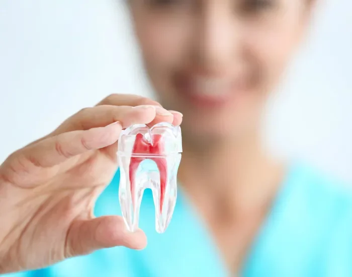 Endodonzia - studio dentistico Montepulciano